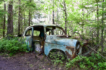 Old cars in wild nature on the Kyrko Mosse Car Cemetery, former junkyard, in the forest, Kyrkö Mosse, Ryd, Smaland, Sweden