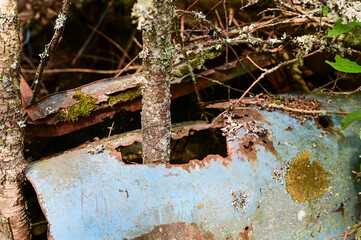 Details of Old cars in wild nature on the Kyrko Mosse Car Cemetery, former junkyard, in the forest,...