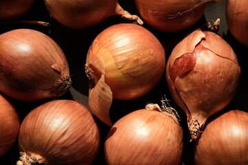 Colorful, ripe onions. Still life photos.