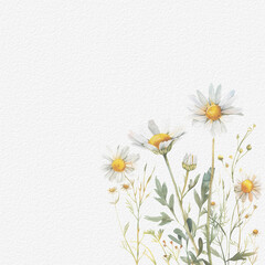 watercolor paper texture with gentle chamomile flowers