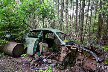 Old cars in wild nature on the Kyrko Mosse Car Cemetery, former junkyard, in the forest, Kyrkö...