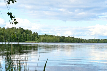 Idyllic lake Hönshyltefjorden, Kuppersjön in the forest near Ryd (Blekinge) in Smaland, Sweden with trees and water in summer