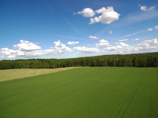 Nature, green, lake, wood, sunny, countryside, clouds, sky, summer