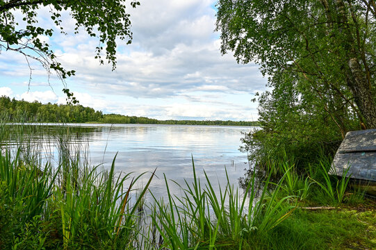 Idyllic lake H&ouml;nshyltefjorden, Kuppersj&ouml;n in the forest near Ryd (Blekinge) in Smaland, Sweden with trees and water in summer