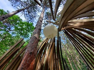 treehouse in woods