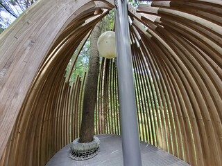 treehouse in the woods