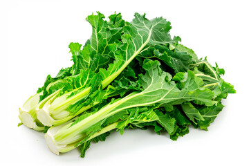 Endive or butterhead lettuce isolated on white background. Fresh green salad leaves from garden