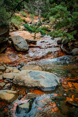 A small creek flows through the red rocks of Damfino Canyon near Sedona Arizona - 747593358