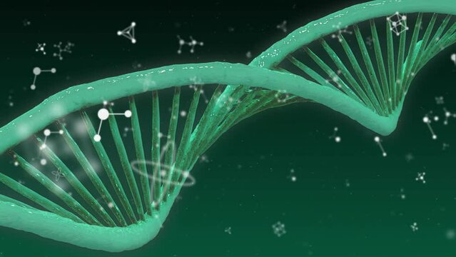 Animation of molecules floating over dna strand