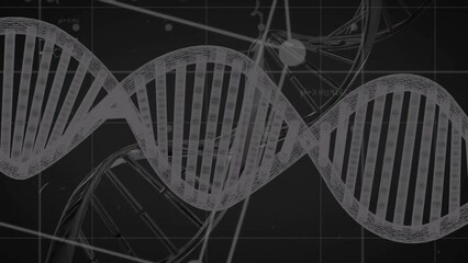 Animation of mathematical equations over dna strand - Powered by Adobe