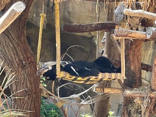 San Diego Zoo California