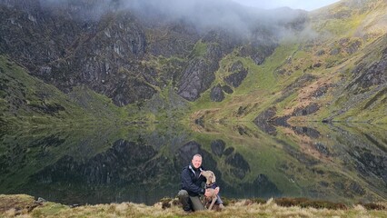 Weimaraner and hiker in the mountain range of Cadair Idris in Eryri National Park, Wales - obrazy, fototapety, plakaty