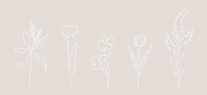 Set of linear wild flowers