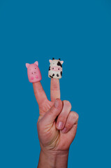 Female hand playing puppets fingers Animal finger puppet Pig Cow Educational toys Montessori...