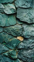 Detailed view of a textured green rock wall emphasizing colors and patterns.