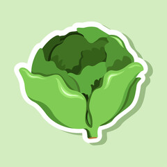 Vector cabbage sticker desing