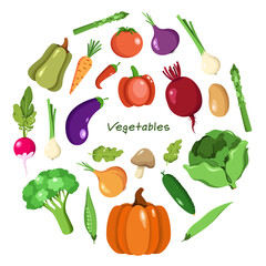 Vector collection of vegetables in cartoon flat style isolated on white 