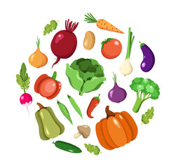 collection of vector vegetables, cabbage, radish, red pepper, pumpkins, eggplant, spring onions, beetroot, carrot, broccoli, cucumber, mushroom, tomato