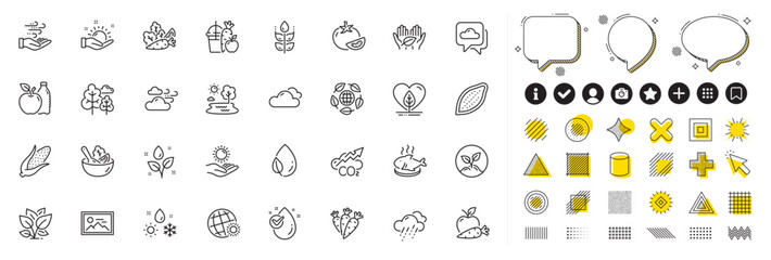 Fototapeta na wymiar Set of Corn, Sunny weather and Startup line icons for web app. Design elements, Social media icons. Water drop, Apple, Gluten free icons. Windy weather, Salad, Co2 signs. Vector