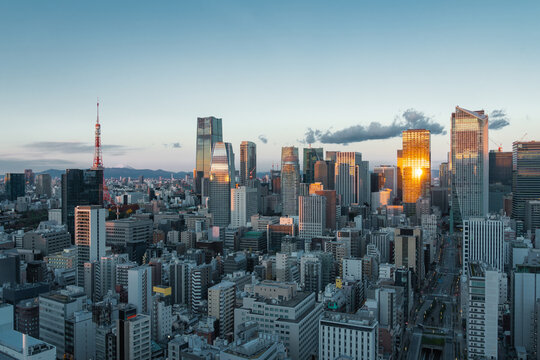 Tokyo cityscape at sunrise in Japan.