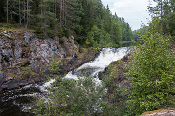 Beautiful landscape with waterfall in northern forest on summer. Powerful stream of water among stone rocks and green foliage. Kivach waterfall at Suna river in Karelia, Russia.