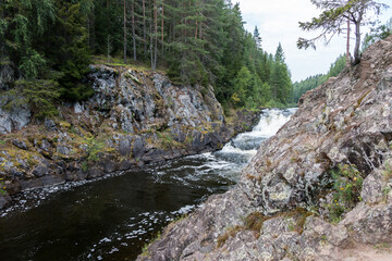 Beautiful landscape with waterfall in northern forest on summer evening. Powerful stream of water among stone rocks and green foliage. Kivach waterfall at Suna river in Karelia, Russia.