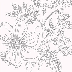 Rose hip wild spring flowers, abstract floral sketch art - 747622325