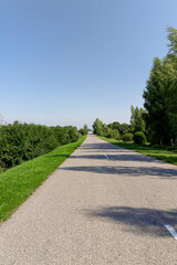 paved old road in the forest in summer