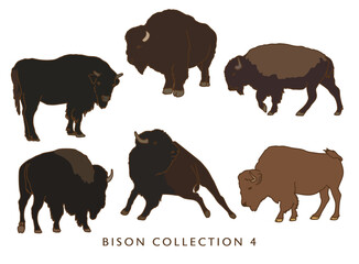 Bison Illustration Collection 4 - In Color - Many Poses