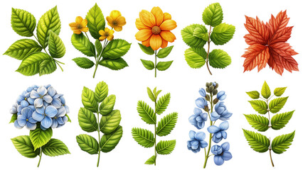 Zestaw różnych rodzajów kwiatów i liści. Różnorodne kształty, kolory i tekstury, co tworzy interesujący i barwny obraz natury wiosną