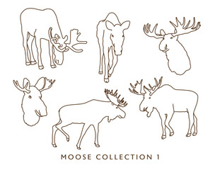 Moose Illustration Collection 1 - Outlines - Many Poses