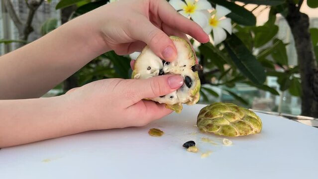 noina underneath the segmented green peel is a white and sweet filling. noina fruit Ripe noina fruit or Custard apple also known as sugar apple on a table