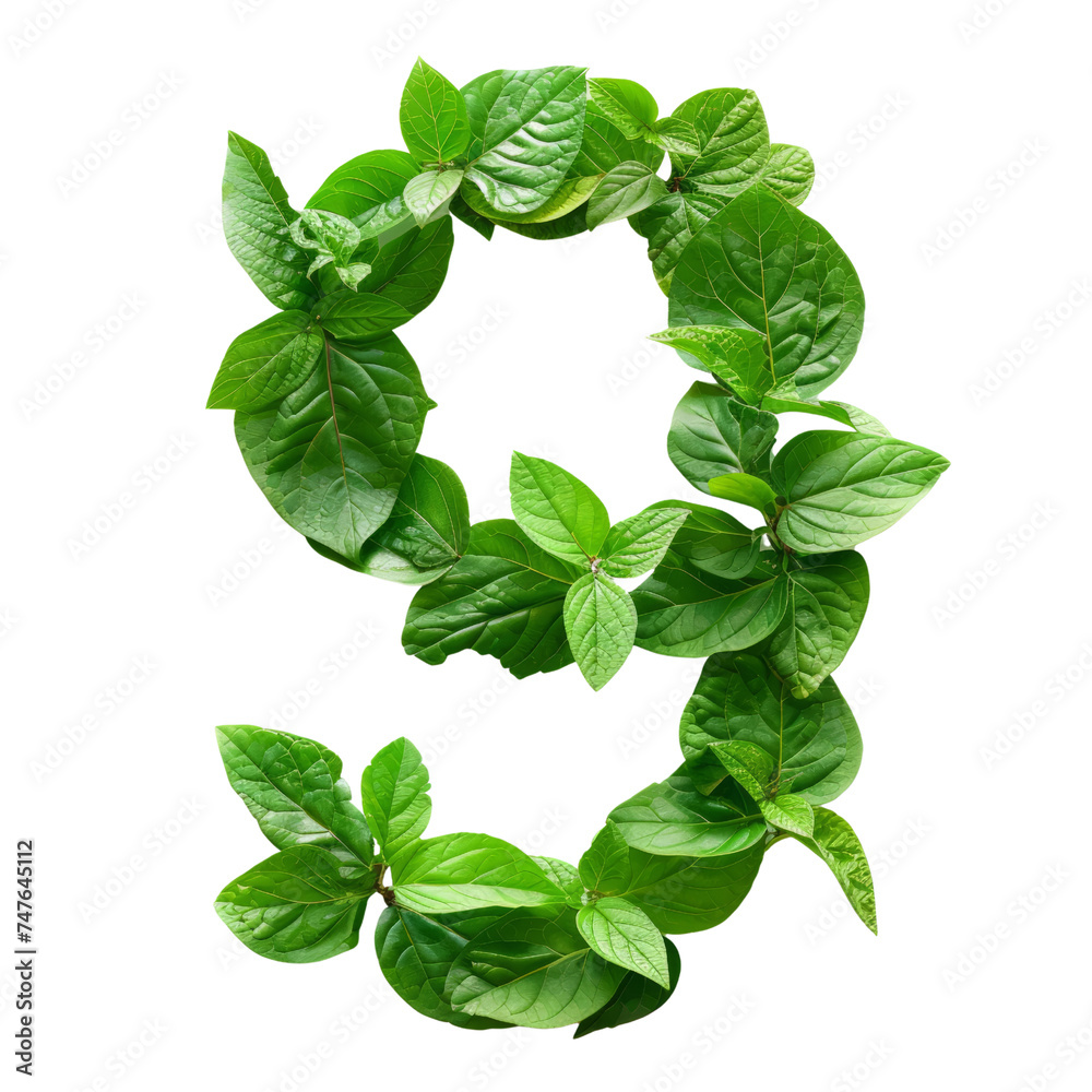 Fototapete A collection of numbers from a pile of tropical leaves. Green leaves of tropical plants forming the number nine are isolated in a transparent background. Created with Generative AI.