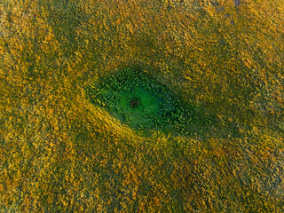 aerial view of the landscape