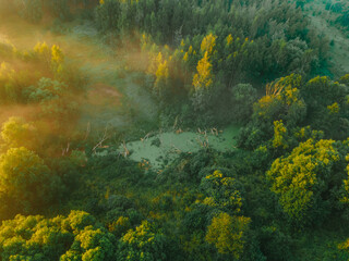 aerial view of the landscape