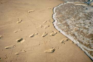 footprints on the beach