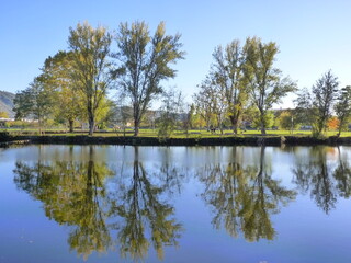 Reflets d'arbres dans une rivière