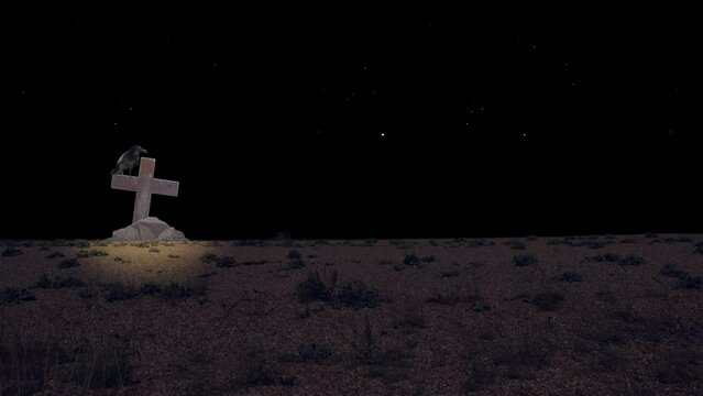 Raven perched on a desert cross at night