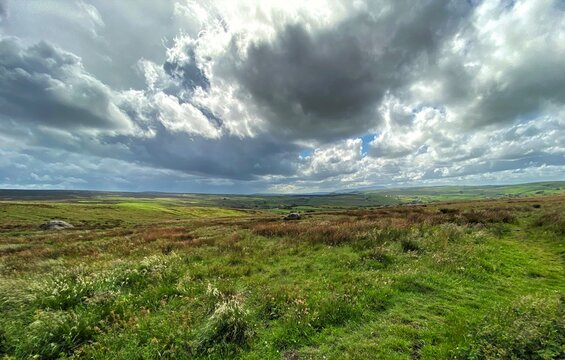 Heavy thunder clouds, above moorland, with wild plants, and gorse near, Buck Stone Lane, Cowling, Yorkshire, UK