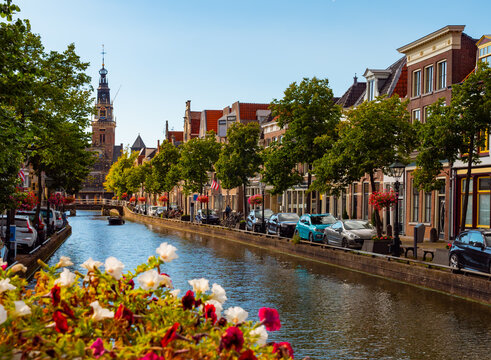 Picturesque summer view of green and blooming Alkmaar cityscape along Mient canal overlooking tower of Waag building on square Waagplein on sunny day, Netherlands
