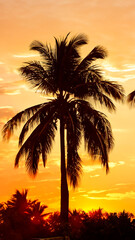 Obraz premium sunset and palm trees wallpaper