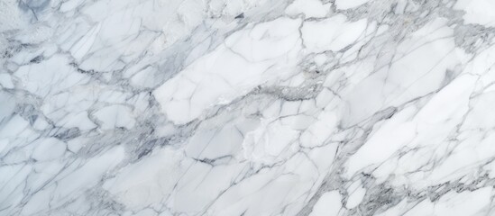 Detailed close-up of a white Carrara marble texture, showcasing the intricate veins and speckles characteristic of this stone. The surface appears smooth and polished,