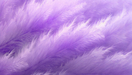 Obraz premium Fioletowe tło pierze