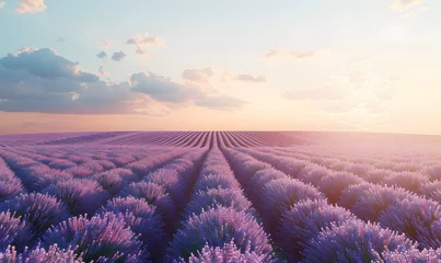 Keuken spatwand met foto Amazing view of blooming lavender flower field in sunny summer day background,Generative AI © simba kim