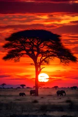 Keuken spatwand met foto Her Majesty's Court: The Majesty of African Elephants Migrating Across Twilight Savannah © Adeline