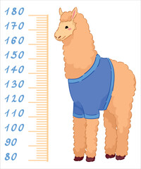 Obraz premium Cute alpaca measuring height on white background