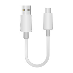 シンプルなイラスト_白い変換ケーブル_USB Type-A 2.0からUSB Type-C