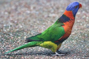 Port Douglas, Queensland, Australia