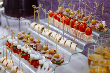 Gourmet hors d'oeuvres on a contemporary tray for an upscale event. Concept for catering, high-end events and food presentation.