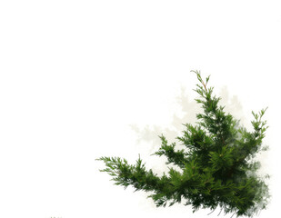 A yew tree is presented on a white background, showcasing reefwave aesthetics, ornate design, a close-up view, and elongated forms.